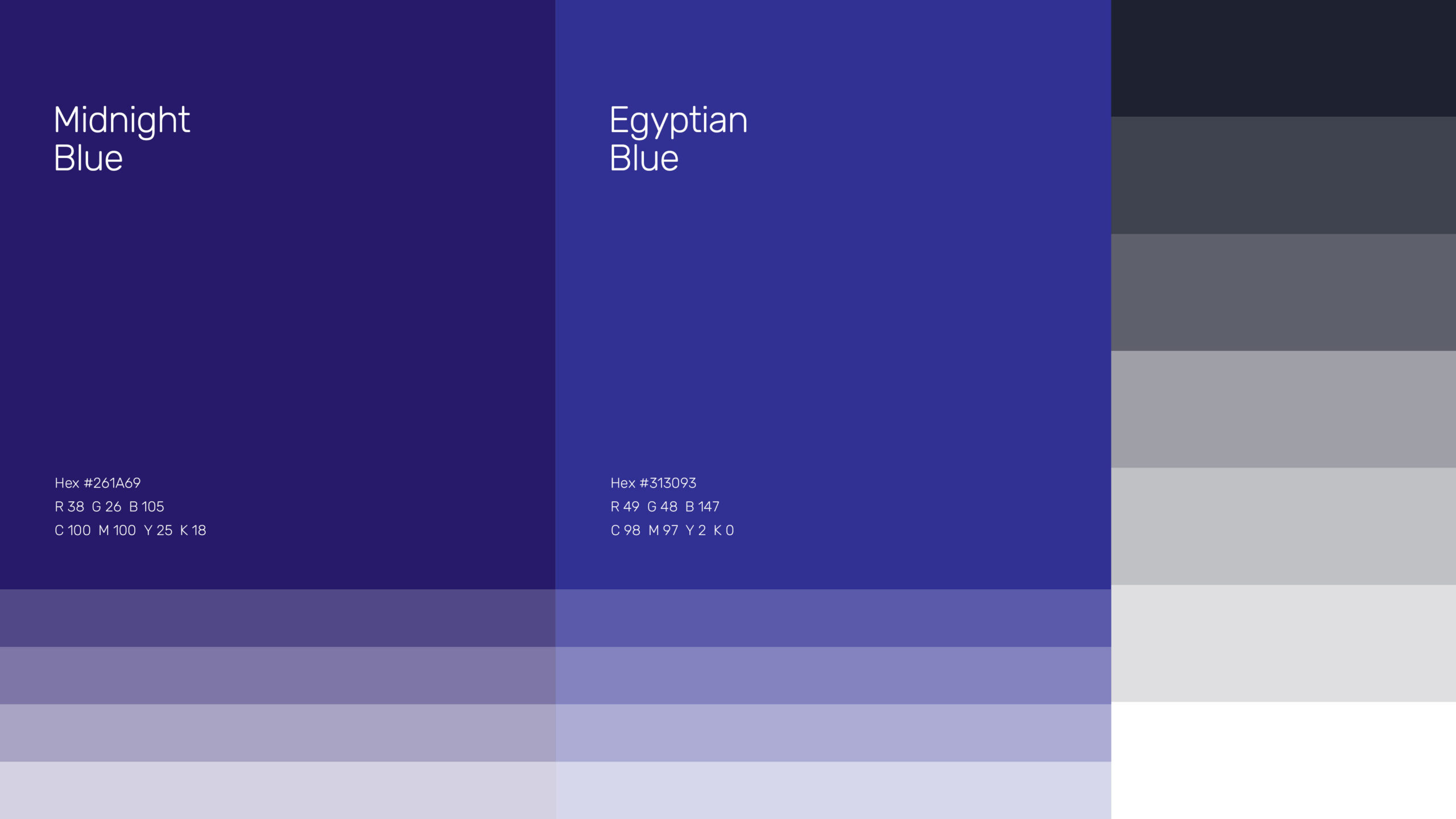 Best Branding Agency in Wayanad | Kerala | India | Spiralvue