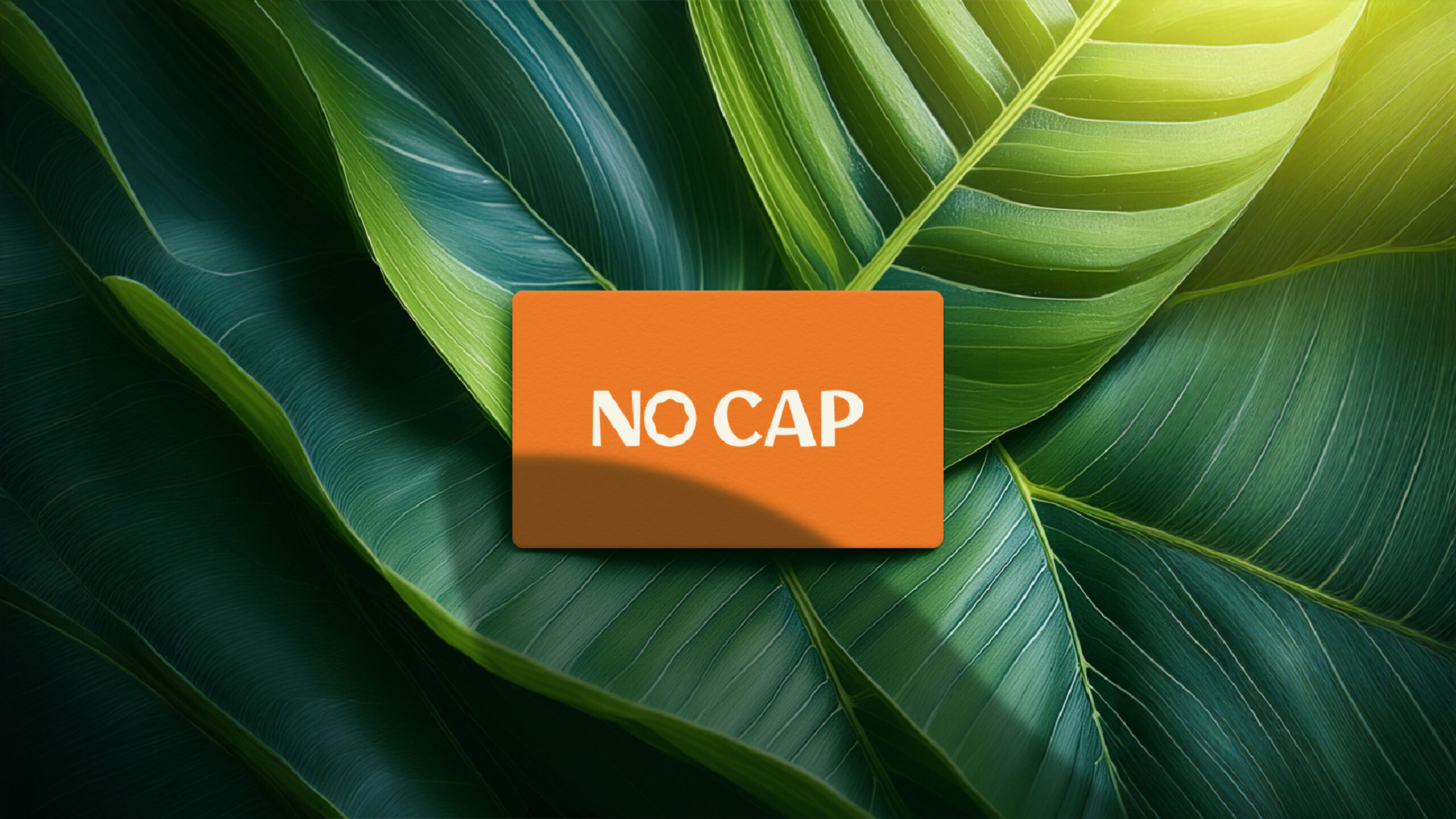 Best Branding Agency in Wayanad | Kerala | India | Spiralvue